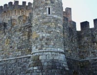 image description not provided by submitter