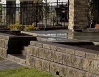 image description not provided by submitter