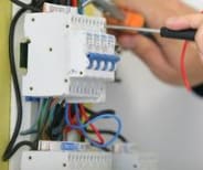 image description not provided by submitter