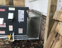 image description not provided by submitter