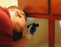 image description not provided by submitter