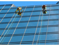 image description not provided by submitter