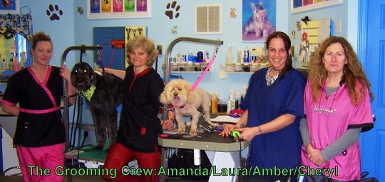 Cheryl's Pride and Groom, 930 Sullivan Ave, South Windsor, CT, Pet