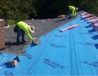 image description not provided by submitter