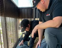 image description not provided by submitter