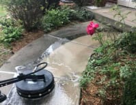 image description not provided by submitter