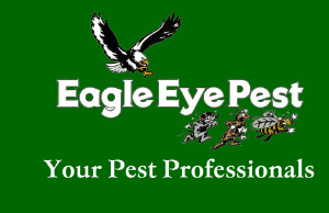 eagle eye exterminating