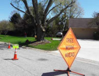 image description not provided by submitter