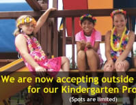 image description not provided by submitter