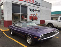 image description not provided by submitter