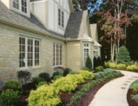 image description not provided by submitter