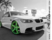 image description not provided by submitter