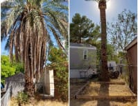 image description not provided by submitter