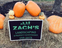 image description not provided by submitter