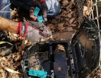 image description not provided by submitter