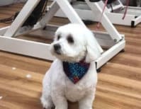 image description not provided by submitter