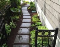 image description not provided by submitter