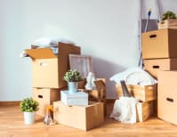 image description not provided by submitter