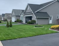 image description not provided by submitter