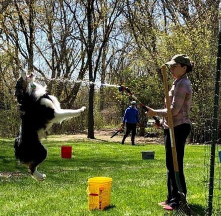 image description not provided by submitter