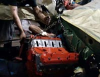 image description not provided by submitter