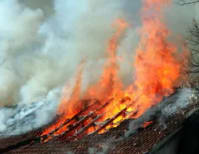 image description not provided by submitter