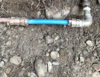 image description not provided by submitter