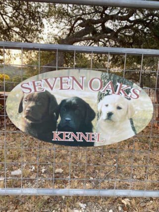 image description not provided by submitter