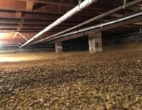 image description not provided by submitter