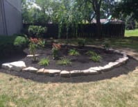 image description not provided by submitter