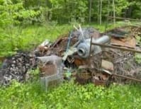 image description not provided by submitter