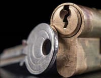 image description not provided by submitter