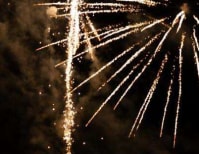 image description not provided by submitter