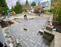 image description not provided by submitter