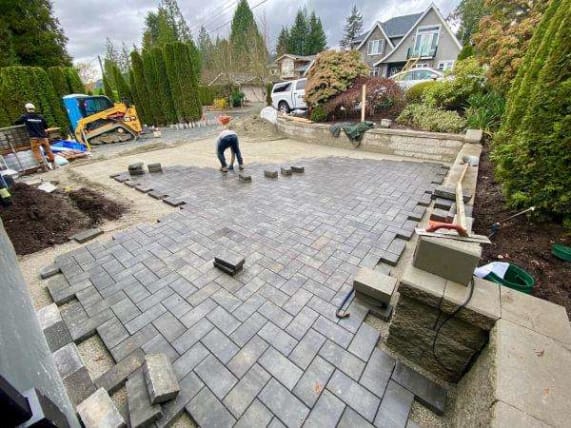 image description not provided by submitter