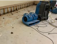 image description not provided by submitter