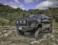 image description not provided by submitter