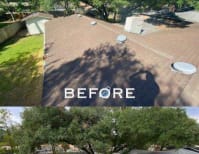 image description not provided by submitter