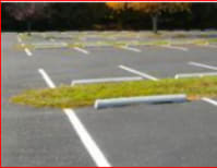 image description not provided by submitter