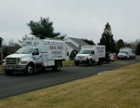 image description not provided by submitter