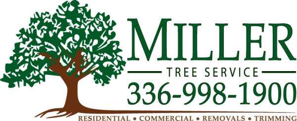 Miller Tree Service, Inc. | BBB Business Profile | Better Business Bureau