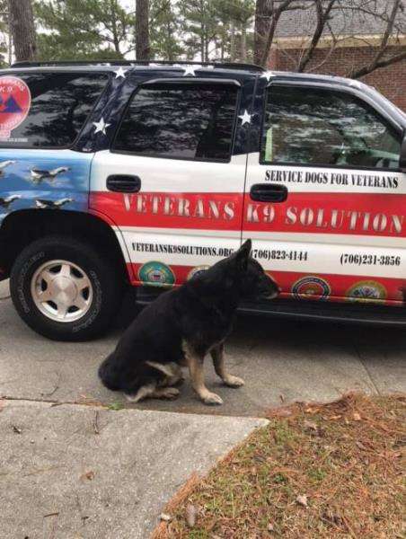 Southern k9 hot sale solutions