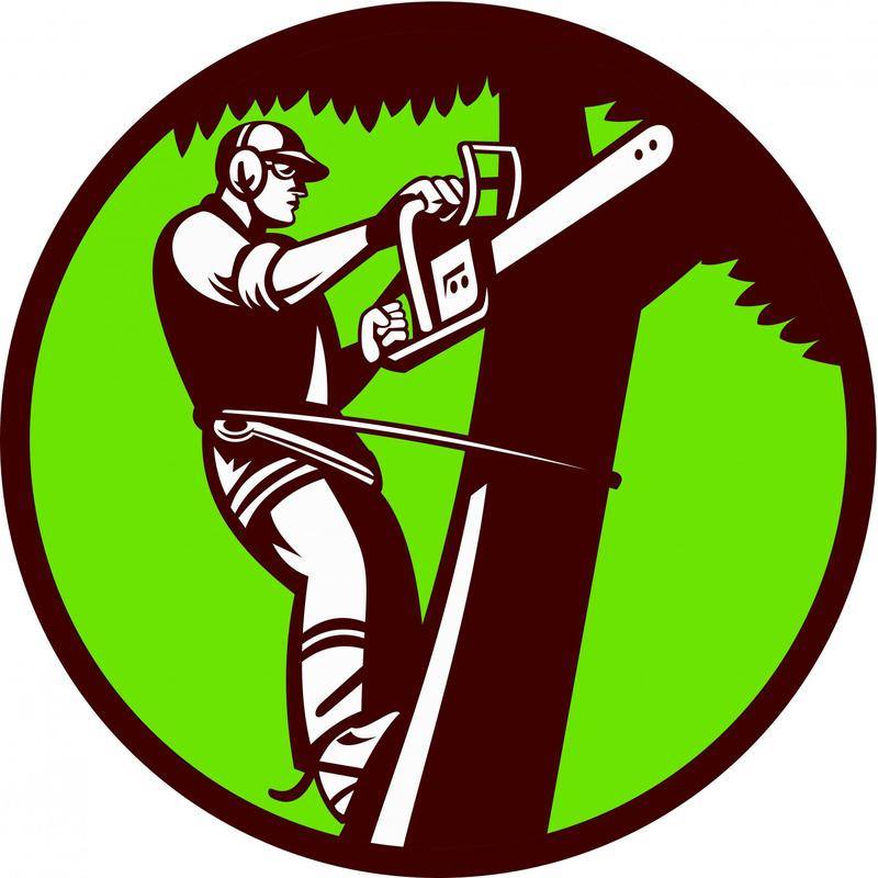 Tree Service near Hickory NC Better Business Bureau. Start with