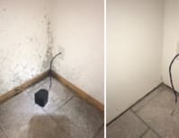 image description not provided by submitter