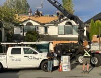 image description not provided by submitter