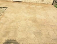 image description not provided by submitter