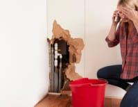 image description not provided by submitter