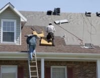 image description not provided by submitter