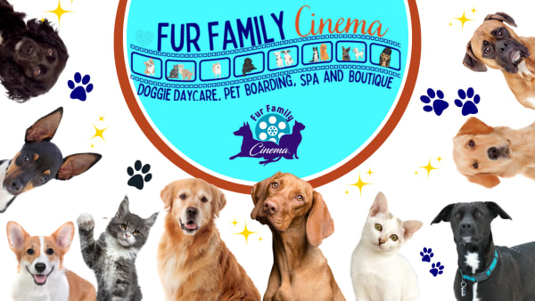 Fur Family Cinema LLC Better Business Bureau Profile