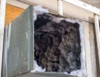 image description not provided by submitter